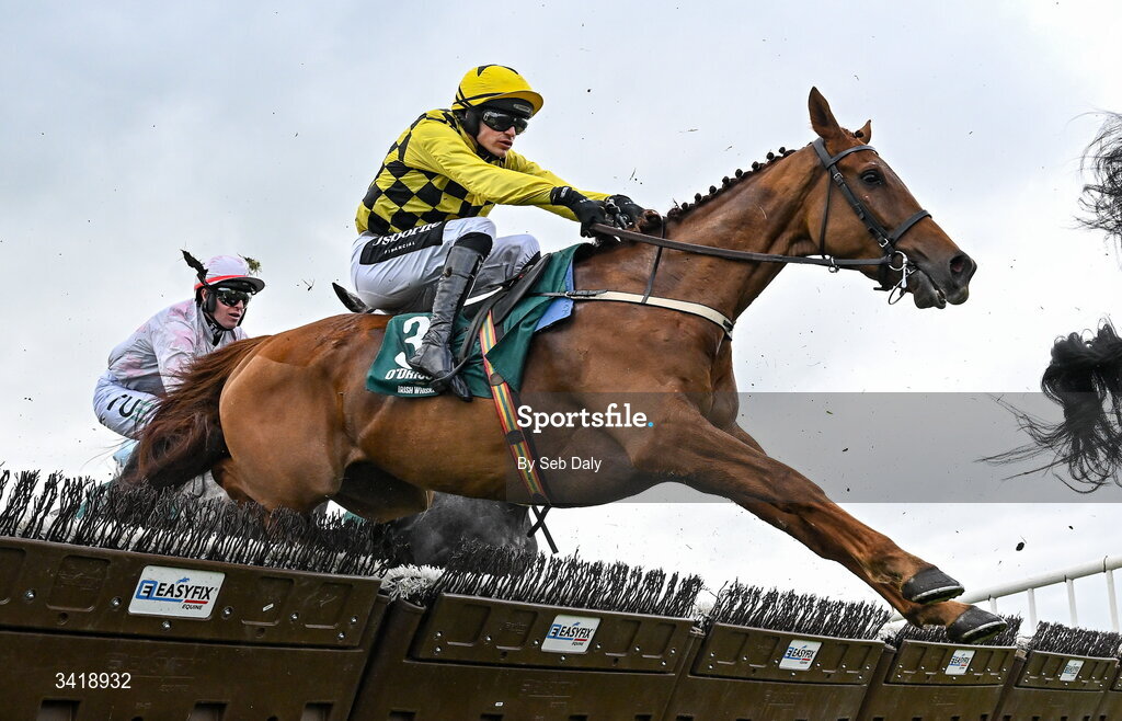 6 April 2026; Macho Man, with Danny Mullins up, during the O'Driscoll's Irish Whiskey Juvenile Hurdle on day three of the Fairyhouse Easter Festival at Fairyhouse Racecourse in Ratoath, Meath. Photo by Seb Daly/Sportsfile