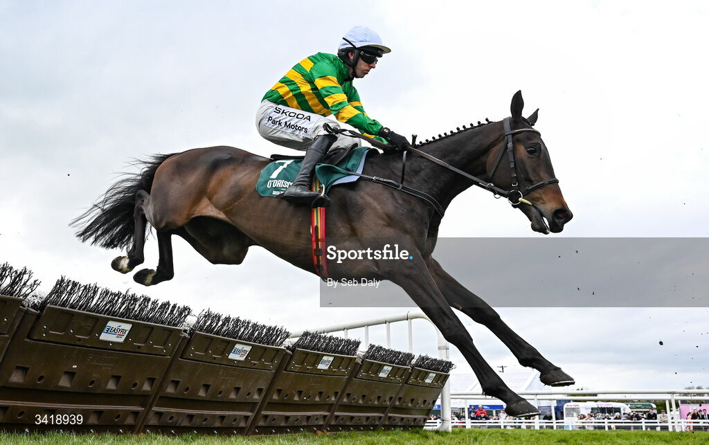 6 April 2026; Proactif, with Mark Walsh up, during the O'Driscoll's Irish Whiskey Juvenile Hurdle on day three of the Fairyhouse Easter Festival at Fairyhouse Racecourse in Ratoath, Meath. Photo by Seb Daly/Sportsfile