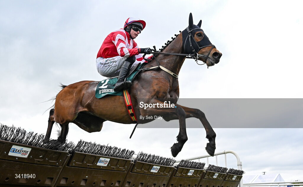 6 April 2026; Kai Lung, with Sean O'Keeffe up, during the O'Driscoll's Irish Whiskey Juvenile Hurdle on day three of the Fairyhouse Easter Festival at Fairyhouse Racecourse in Ratoath, Meath. Photo by Seb Daly/Sportsfile