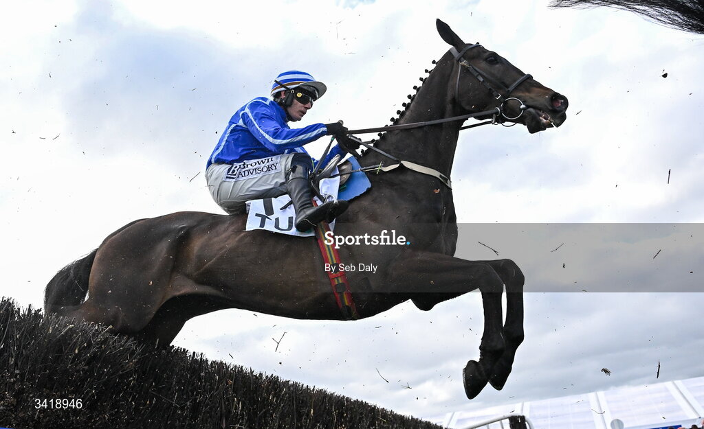 6 April 2026; Energumene, with Paul Townend up, during the Underwriting Exchange Fairyhouse Steeplechase during day three of the Fairyhouse Easter Festival at Fairyhouse Racecourse in Ratoath, Meath. Photo by Seb Daly/Sportsfile