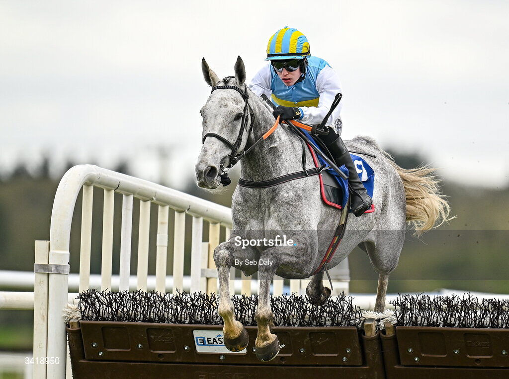 6 April 2026; Kentucky Beach, with Josh Williamson up, during the Farmhouse Foods Novice Handicap Hurdle on day three of the Fairyhouse Easter Festival at Fairyhouse Racecourse in Ratoath, Meath. Photo by Seb Daly/Sportsfile