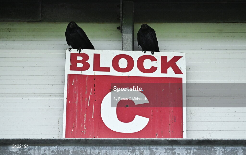 10 April 2026; Birds shelter from the weather conditions in the back of the stand at the SSE Airtricity Men's Premier Division match between Galway United and Shelbourne at Eamonn Deacy Park in Galway. Photo by Piaras Ó Mídheach/Sportsfile