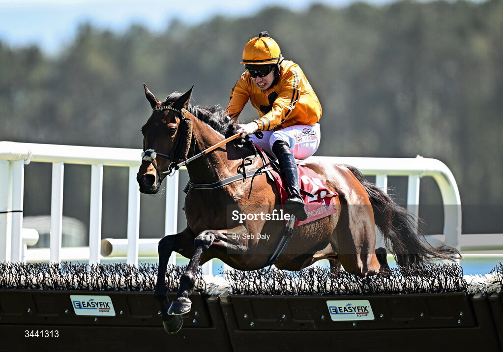 29 April 2026; Jacovec Cavern, with Richie Condon up, jump the last on their way to winning the Adare Manor Opportunity Series Final Handicap Hurdle during day two of the Punchestown Festival at Punchestown Racecourse in Kildare. Photo by Seb Daly/Sportsfile