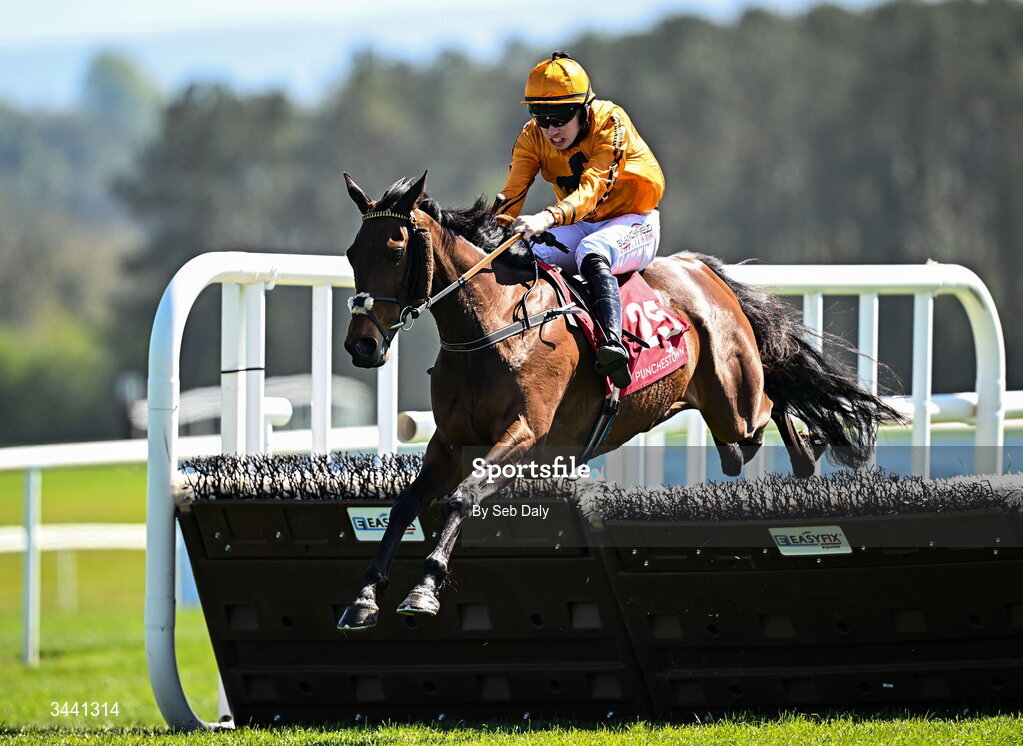 29 April 2026; Jacovec Cavern, with Richie Condon up, jump the last on their way to winning the Adare Manor Opportunity Series Final Handicap Hurdle during day two of the Punchestown Festival at Punchestown Racecourse in Kildare. Photo by Seb Daly/Sportsfile
