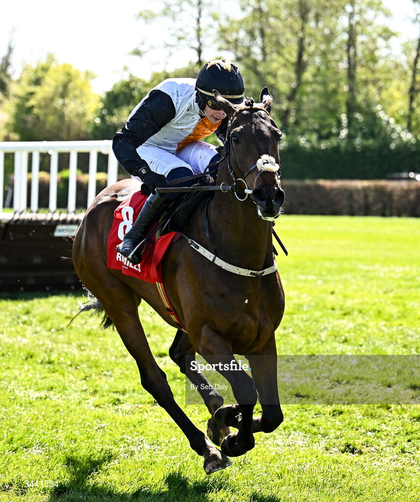 29 April 2026; Raise You Up, with Danny Gilligan up, on their way to winning the Connolly's RED MILLS Irish EBF Auction Hurdle Series Final during day two of the Punchestown Festival at Punchestown Racecourse in Kildare. Photo by Seb Daly/Sportsfile