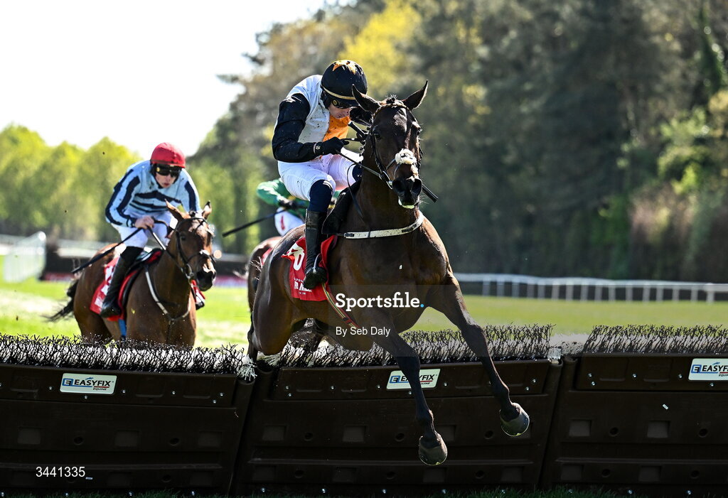 29 April 2026; Raise You Up, with Danny Gilligan up, jump the last on their way to winning the Connolly's RED MILLS Irish EBF Auction Hurdle Series Final during day two of the Punchestown Festival at Punchestown Racecourse in Kildare. Photo by Seb Daly/Sportsfile
