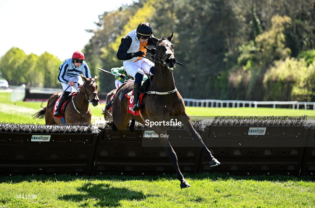 29 April 2026; Raise You Up, with Danny Gilligan up, jump the last on their way to winning the Connolly's RED MILLS Irish EBF Auction Hurdle Series Final during day two of the Punchestown Festival at Punchestown Racecourse in Kildare. Photo by Seb Daly/Sportsfile