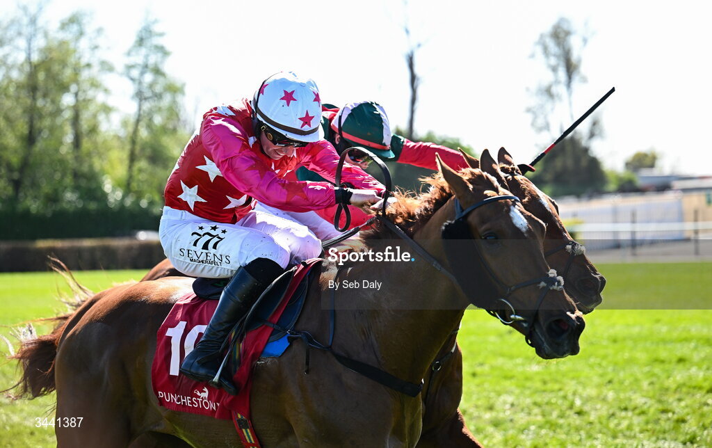 29 April 2026; Quinta Do Lago, with Donagh Meyler up, on their way to winning the Louis Fitzgerald Hotel Hurdle during day two of the Punchestown Festival at Punchestown Racecourse in Kildare. Photo by Seb Daly/Sportsfile