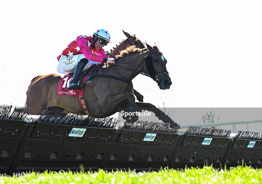 29 April 2026; Quinta Do Lago, with Donagh Meyler up, jump the last on their way to winning the Louis Fitzgerald Hotel Hurdle during day two of the Punchestown Festival at Punchestown Racecourse in Kildare. Photo by Seb Daly/Sportsfile