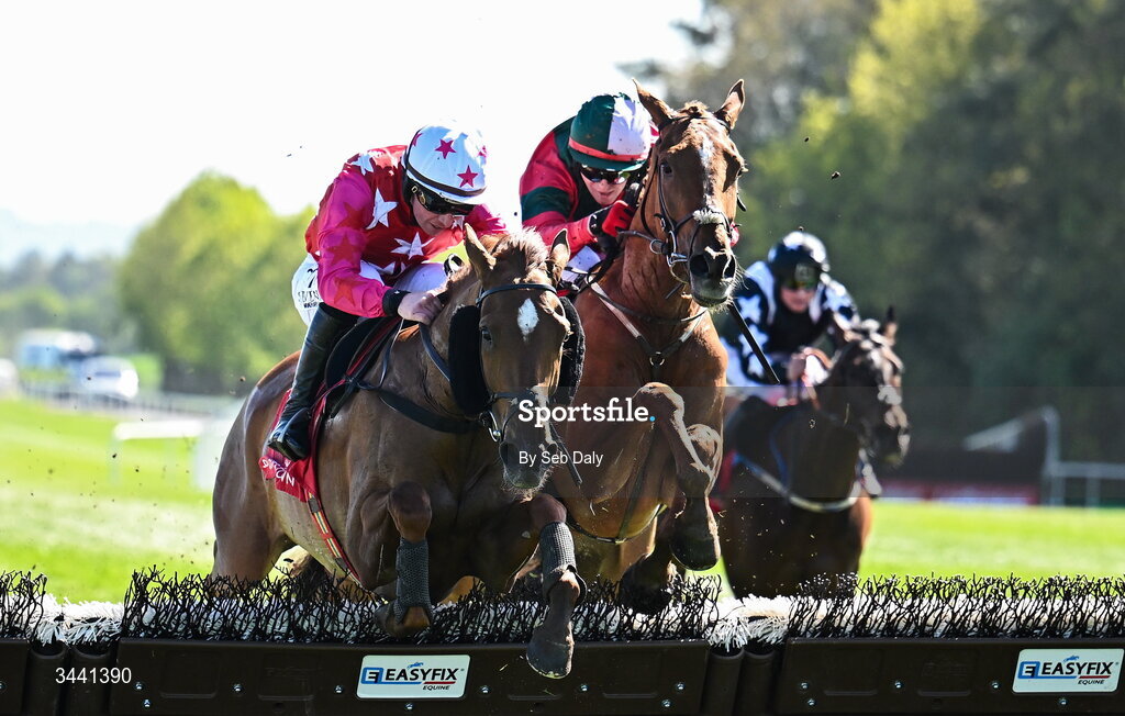 29 April 2026; Quinta Do Lago, with Donagh Meyler up, left, jump the last, ahead of Begorra Man, with Keith Donoghue up, who finished second, on their way to winning the Louis Fitzgerald Hotel Hurdle during day two of the Punchestown Festival at Punchestown Racecourse in Kildare. Photo by Seb Daly/Sportsfile