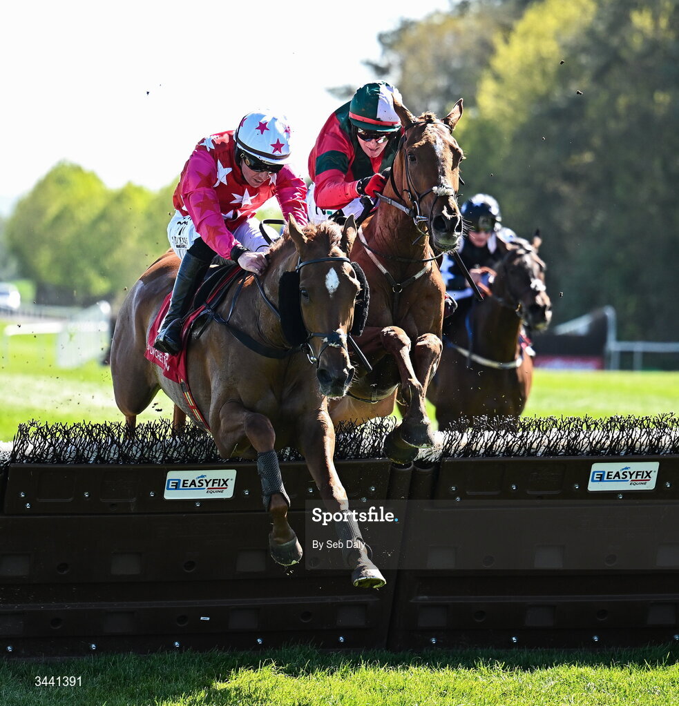 29 April 2026; Quinta Do Lago, with Donagh Meyler up, left, jump the last, ahead of Begorra Man, with Keith Donoghue up, who finished second, on their way to winning the Louis Fitzgerald Hotel Hurdle during day two of the Punchestown Festival at Punchestown Racecourse in Kildare. Photo by Seb Daly/Sportsfile