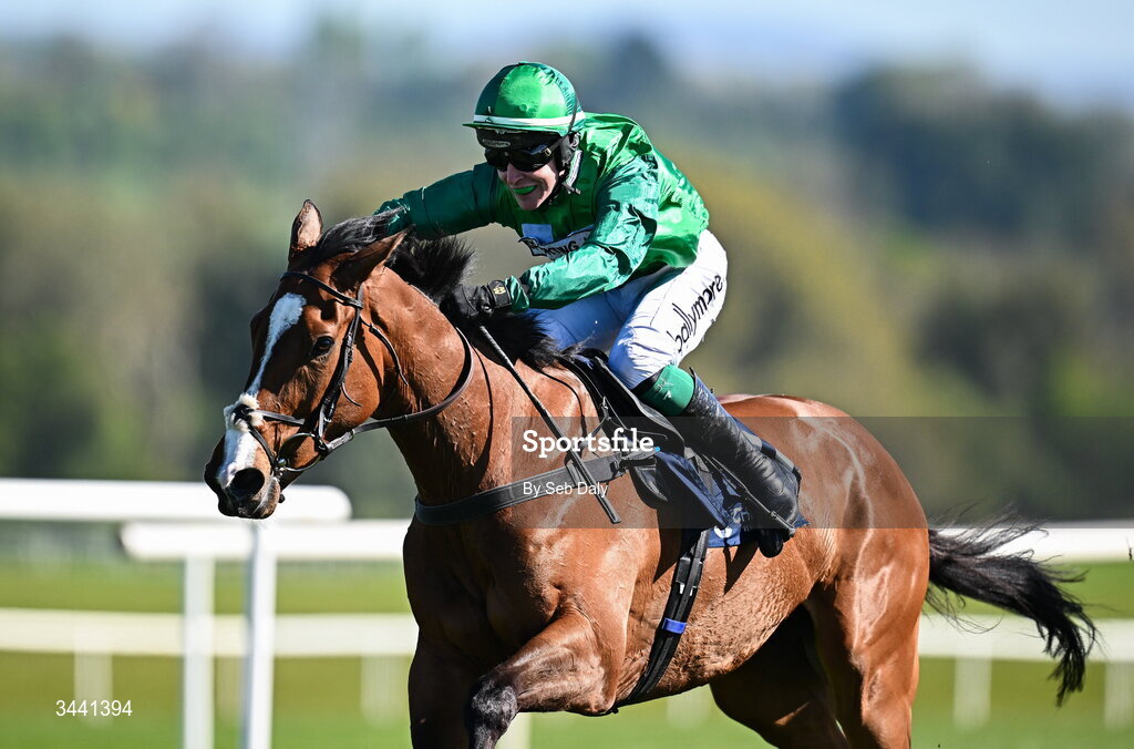 29 April 2026; Le Frimeur, with JJ Slevin up, on their way to winning the Channor Real Estate Group Novice Hurdle during day two of the Punchestown Festival at Punchestown Racecourse in Kildare. Photo by Seb Daly/Sportsfile