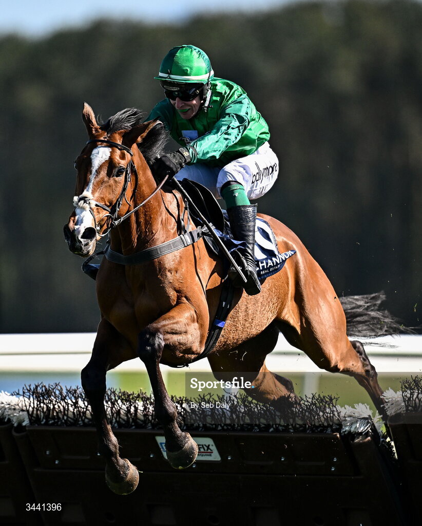 29 April 2026; Le Frimeur, with JJ Slevin up, jump the last on their way to winning the Channor Real Estate Group Novice Hurdle during day two of the Punchestown Festival at Punchestown Racecourse in Kildare. Photo by Seb Daly/Sportsfile
