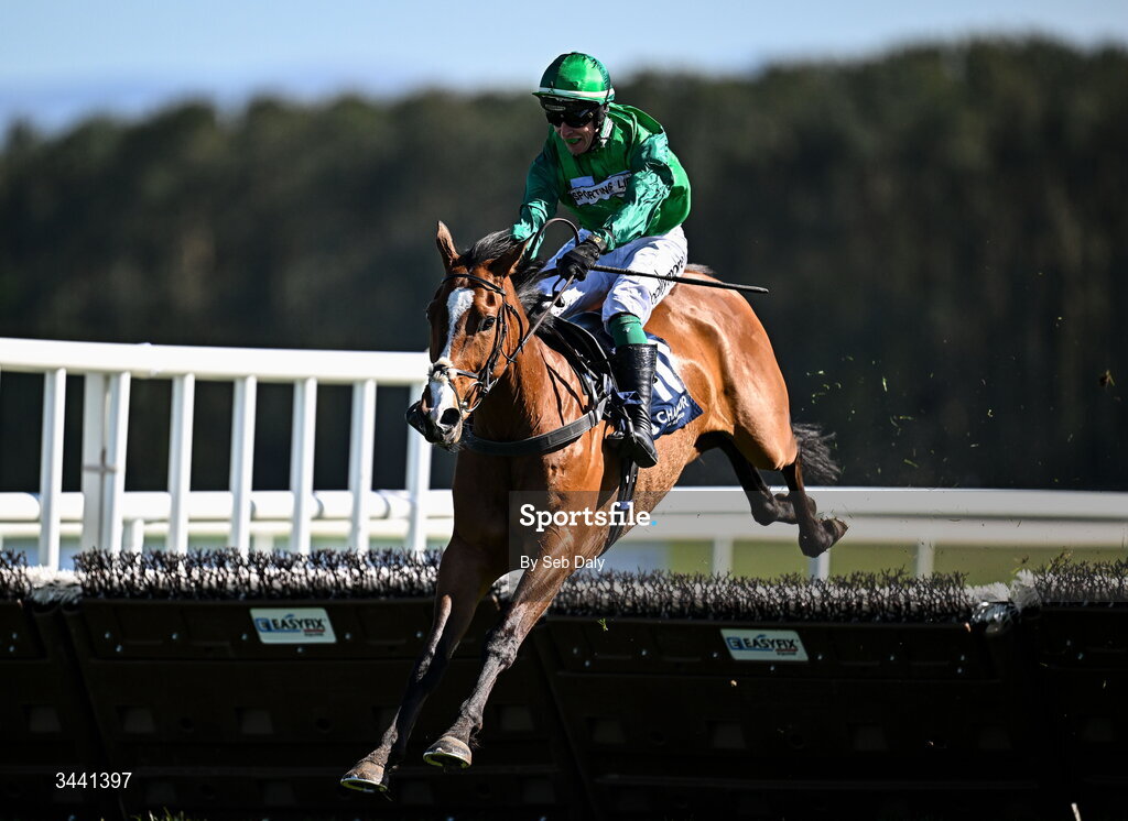 29 April 2026; Le Frimeur, with JJ Slevin up, jump the last on their way to winning the Channor Real Estate Group Novice Hurdle during day two of the Punchestown Festival at Punchestown Racecourse in Kildare. Photo by Seb Daly/Sportsfile