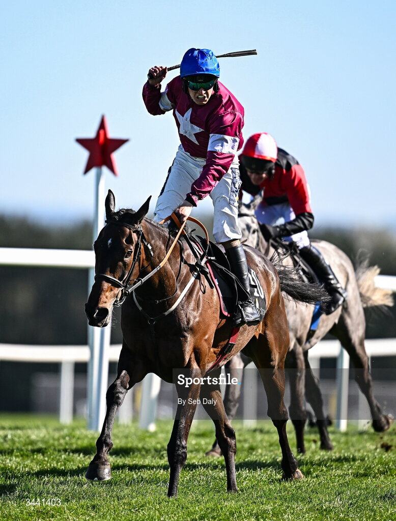 29 April 2026; Jockey Josh Halford celebrates after crossing the line to win the Race & Stay At Punchestown Champion INH Flat Race on With Nolimit during day two of the Punchestown Festival at Punchestown Racecourse in Kildare. Photo by Seb Daly/Sportsfile