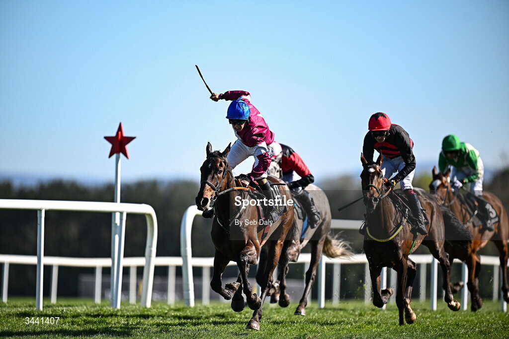 29 April 2026; Jockey Josh Halford celebrates after crossing the line to win the Race & Stay At Punchestown Champion INH Flat Race on With Nolimit during day two of the Punchestown Festival at Punchestown Racecourse in Kildare. Photo by Seb Daly/Sportsfile
