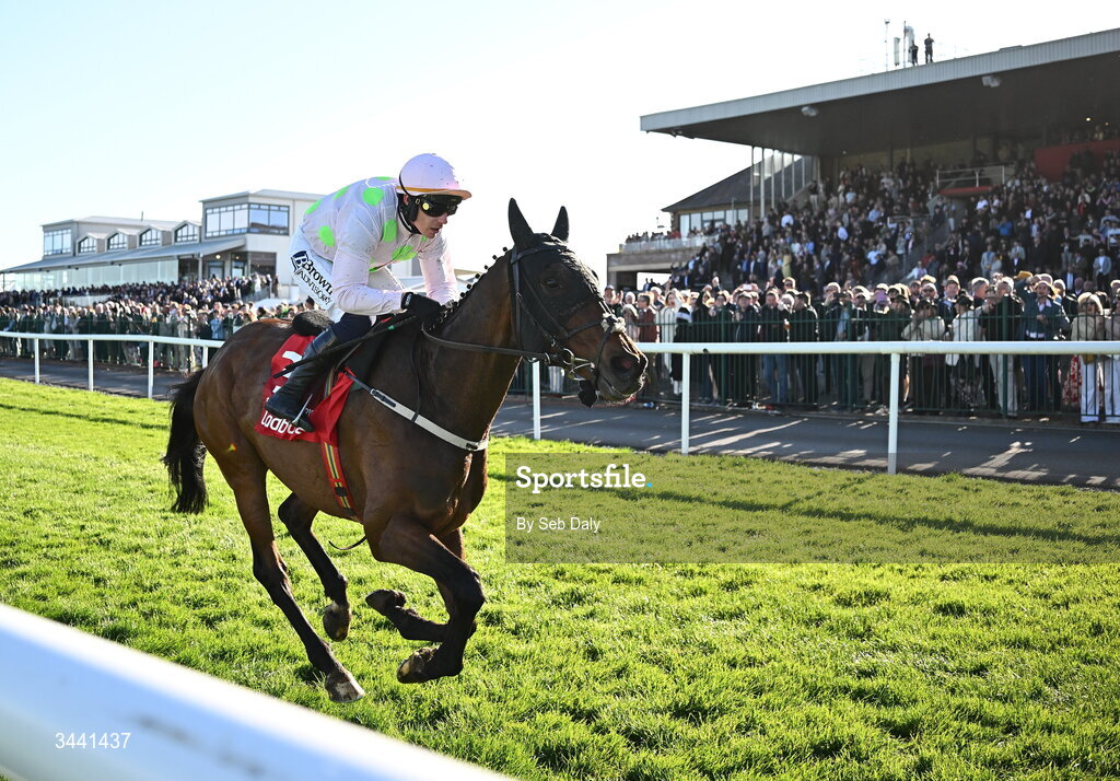 29 April 2026; Gaelic Warrior, with Paul Townend up, on their way to winning the Ladbrokes Punchestown Gold Cup during day two of the Punchestown Festival at Punchestown Racecourse in Kildare. Photo by Seb Daly/Sportsfile