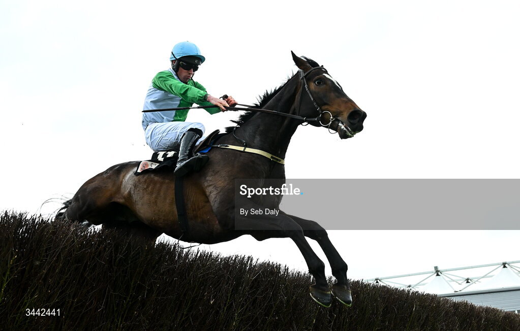 1 May 2026; Jetbob, with Jamie Scallan up, jump the last on their way to winning the Stanley Asphalt Hunters Chase for the Bishopscourt Cup on day four of the Punchestown Festival at Punchestown Racecourse in Kildare. Photo by Seb Daly/Sportsfile
