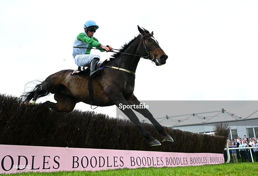1 May 2026; HORSE, with JOCKEY up, on their way to winning the RACE during day four of the Punchestown Festival at Punchestown Racecourse in Kildare.