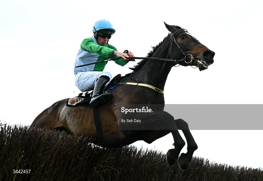 1 May 2026; Jetbob, with Jamie Scallan up, jump the last on their way to winning the Stanley Asphalt Hunters Chase for the Bishopscourt Cup on day four of the Punchestown Festival at Punchestown Racecourse in Kildare. Photo by Seb Daly/Sportsfile
