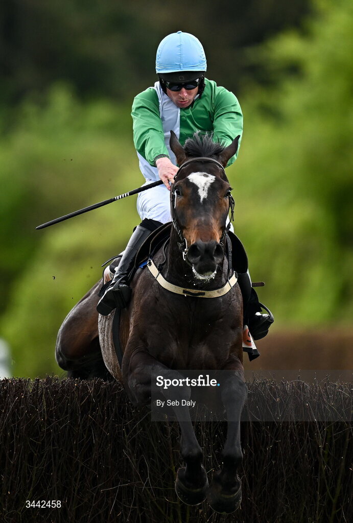 1 May 2026; Jetbob, with Jamie Scallan up, jump the last on their way to winning the Stanley Asphalt Hunters Chase for the Bishopscourt Cup on day four of the Punchestown Festival at Punchestown Racecourse in Kildare. Photo by Seb Daly/Sportsfile