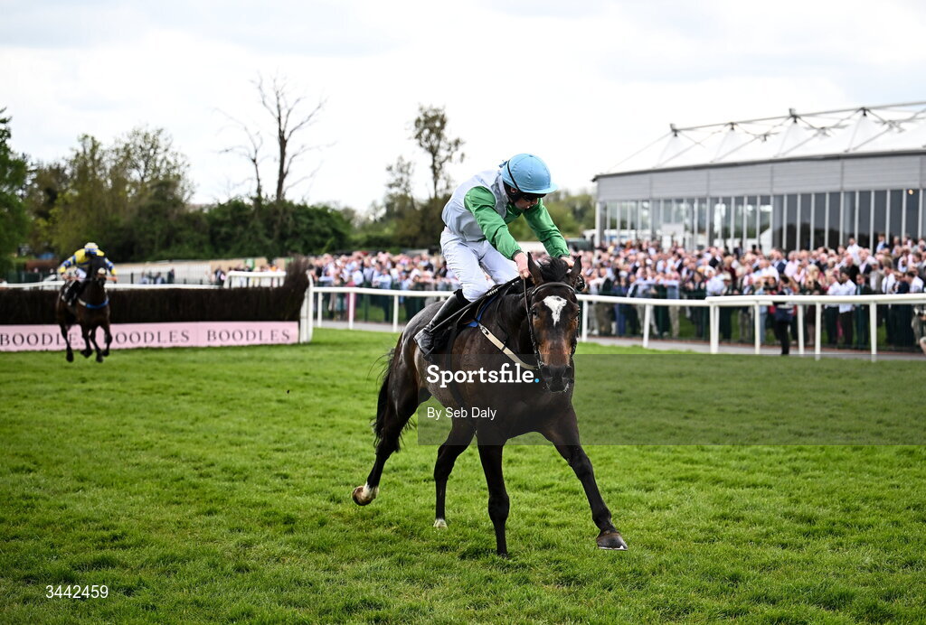 1 May 2026; Jetbob, with Jamie Scallan up, on their way to winning the Stanley Asphalt Hunters Chase for the Bishopscourt Cup, after clearing the last, on day four of the Punchestown Festival at Punchestown Racecourse in Kildare. Photo by Seb Daly/Sportsfile