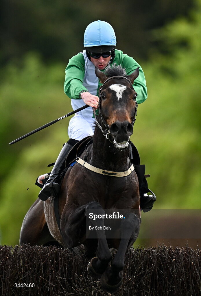 1 May 2026; Jetbob, with Jamie Scallan up, jump the last on their way to winning the Stanley Asphalt Hunters Chase for the Bishopscourt Cup on day four of the Punchestown Festival at Punchestown Racecourse in Kildare. Photo by Seb Daly/Sportsfile