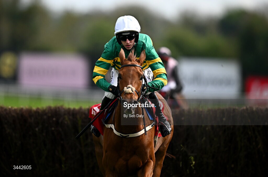 1 May 2026; Dinoblue, with Mark Walsh up, on their way to winning the Hanlon Concrete Irish EBF Glencarraig Lady Francis Flood Mares Chase on day four of the Punchestown Festival at Punchestown Racecourse in Kildare. Photo by Seb Daly/Sportsfile