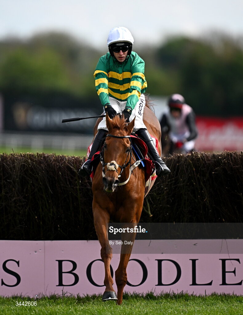 1 May 2026; Dinoblue, with Mark Walsh up, jump the last on their way to winning the Hanlon Concrete Irish EBF Glencarraig Lady Francis Flood Mares Chase on day four of the Punchestown Festival at Punchestown Racecourse in Kildare. Photo by Seb Daly/Sportsfile