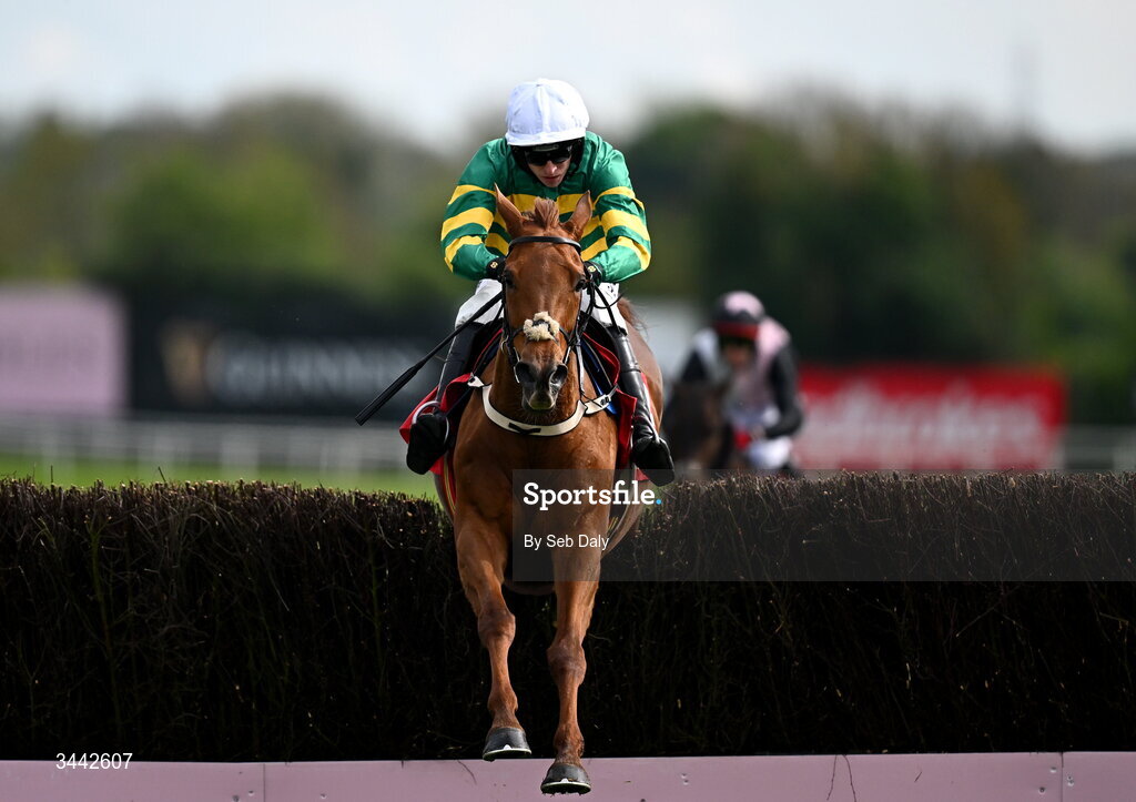1 May 2026; Dinoblue, with Mark Walsh up, jump the last on their way to winning the Hanlon Concrete Irish EBF Glencarraig Lady Francis Flood Mares Chase on day four of the Punchestown Festival at Punchestown Racecourse in Kildare. Photo by Seb Daly/Sportsfile