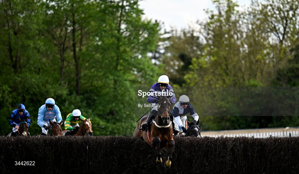 1 May 2026; Funiculi Funicula, with Paul Townend up, jump the last on their way to winning the QuinnBet Novice Handicap Chase on day four of the Punchestown Festival at Punchestown Racecourse in Kildare. Photo by Seb Daly/Sportsfile