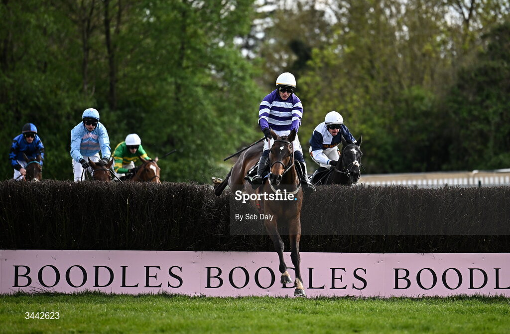 1 May 2026; Funiculi Funicula, with Paul Townend up, jump the last on their way to winning the QuinnBet Novice Handicap Chase on day four of the Punchestown Festival at Punchestown Racecourse in Kildare. Photo by Seb Daly/Sportsfile