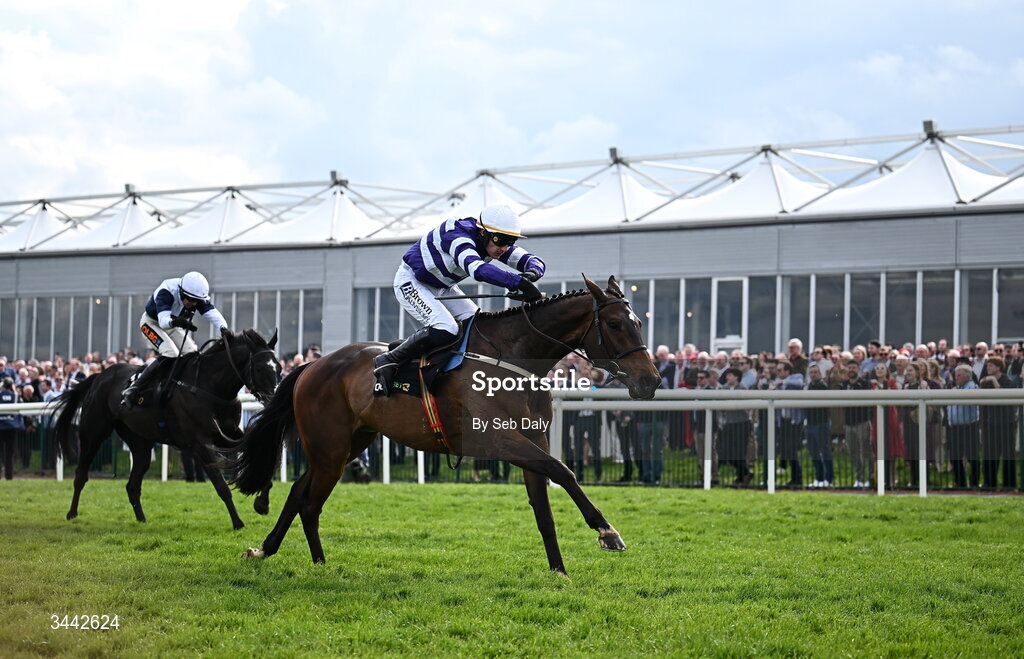 1 May 2026; Funiculi Funicula, with Paul Townend up, on their way to winning the QuinnBet Novice Handicap Chase on day four of the Punchestown Festival at Punchestown Racecourse in Kildare. Photo by Seb Daly/Sportsfile