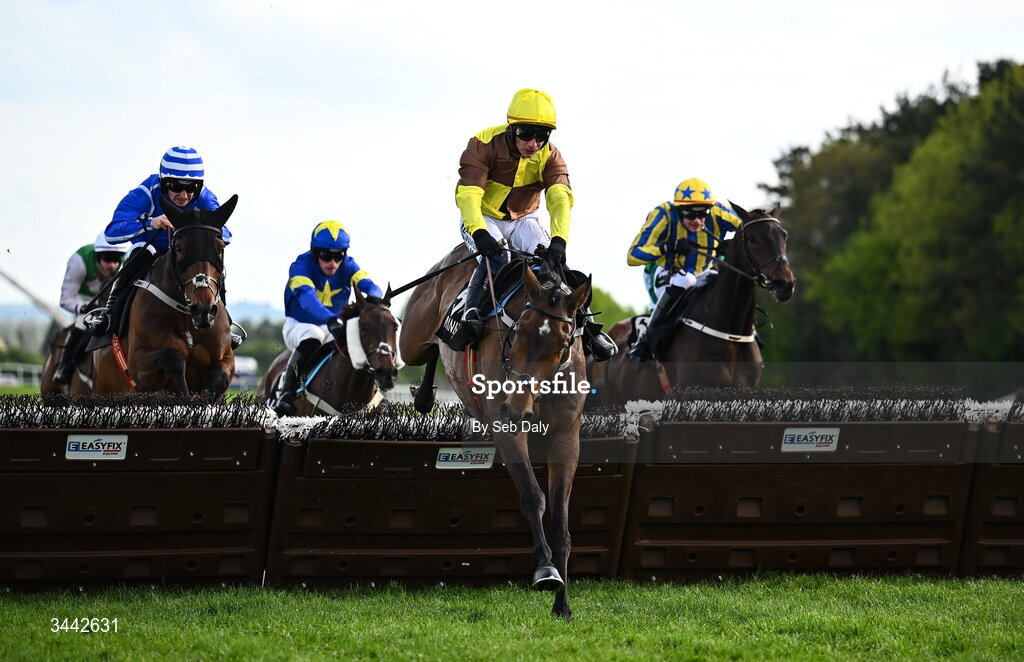 1 May 2026; King Rasko Grey, with Paul Townend up, jump the last on their way to winning the Alanna Homes Champion Novice Hurdle on day four of the Punchestown Festival at Punchestown Racecourse in Kildare. Photo by Seb Daly/Sportsfile
