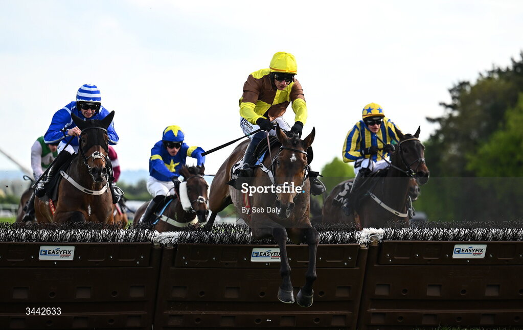 1 May 2026; King Rasko Grey, with Paul Townend up, jump the last on their way to winning the Alanna Homes Champion Novice Hurdle on day four of the Punchestown Festival at Punchestown Racecourse in Kildare. Photo by Seb Daly/Sportsfile