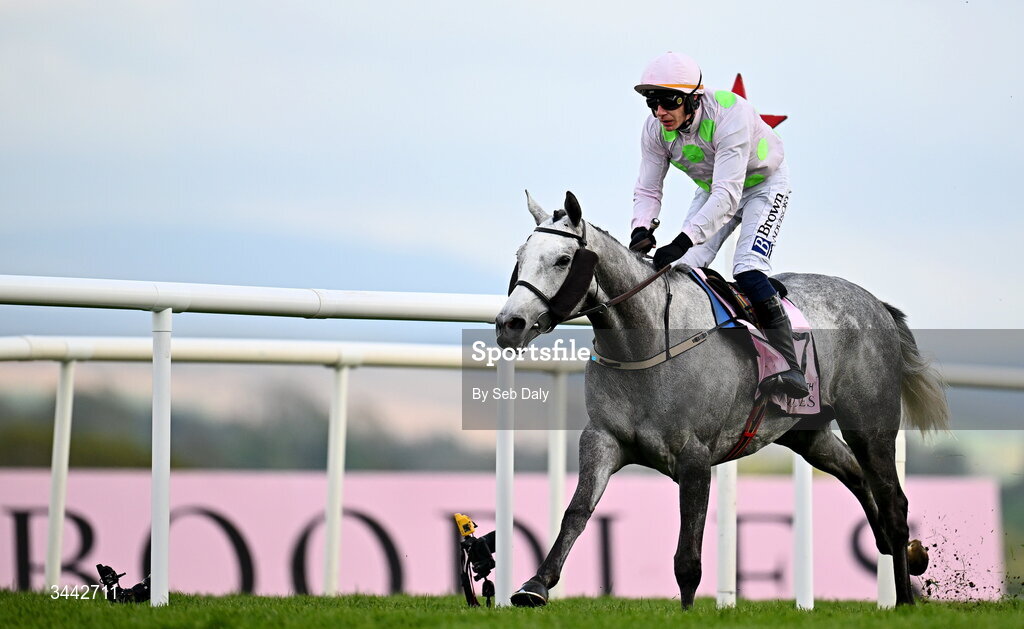 1 May 2026; Lossiemouth, with Paul Townend up, on their way to winning the Boodles Champion Hurdle on day four of the Punchestown Festival at Punchestown Racecourse in Kildare. Photo by Seb Daly/Sportsfile