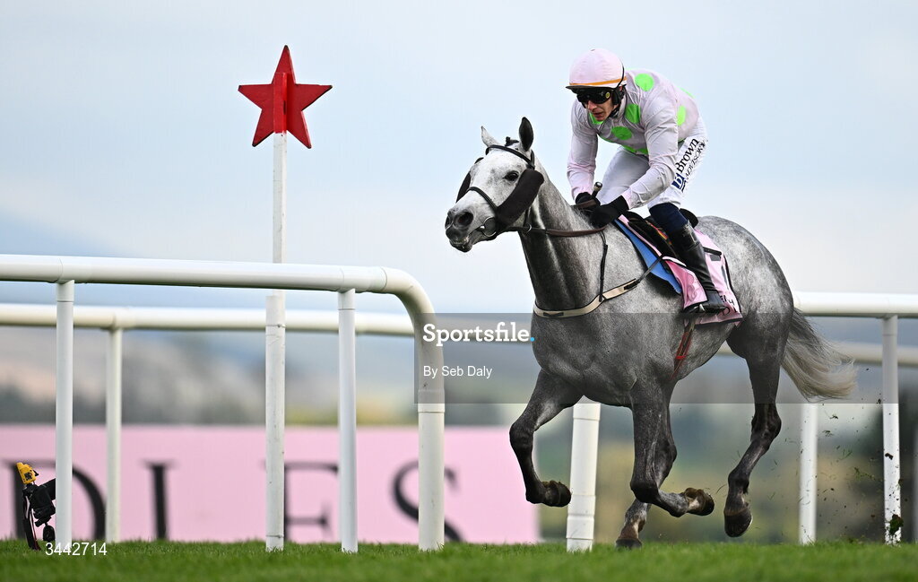 1 May 2026; Lossiemouth, with Paul Townend up, on their way to winning the Boodles Champion Hurdle on day four of the Punchestown Festival at Punchestown Racecourse in Kildare. Photo by Seb Daly/Sportsfile