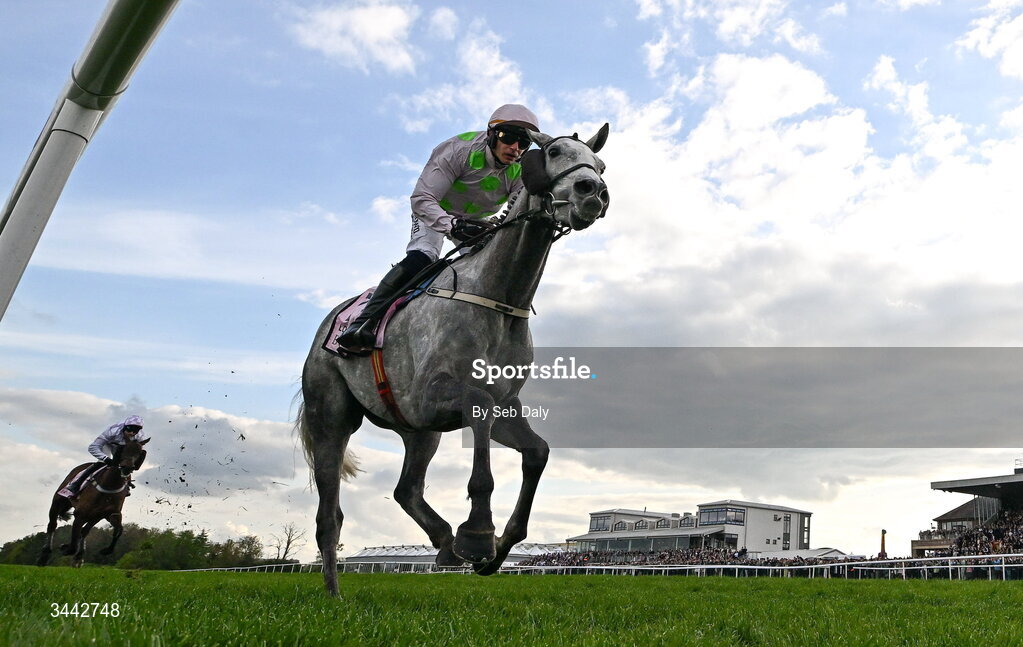 1 May 2026; Lossiemouth, with Paul Townend up, on their way to winning the Boodles Champion Hurdle on day four of the Punchestown Festival at Punchestown Racecourse in Kildare. Photo by Seb Daly/Sportsfile