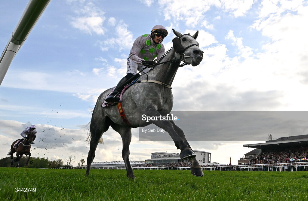 1 May 2026; Lossiemouth, with Paul Townend up, on their way to winning the Boodles Champion Hurdle on day four of the Punchestown Festival at Punchestown Racecourse in Kildare. Photo by Seb Daly/Sportsfile