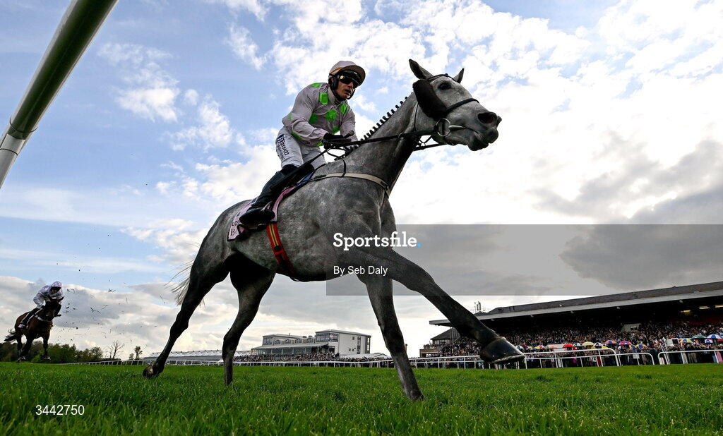 1 May 2026; Lossiemouth, with Paul Townend up, on their way to winning the Boodles Champion Hurdle on day four of the Punchestown Festival at Punchestown Racecourse in Kildare. Photo by Seb Daly/Sportsfile