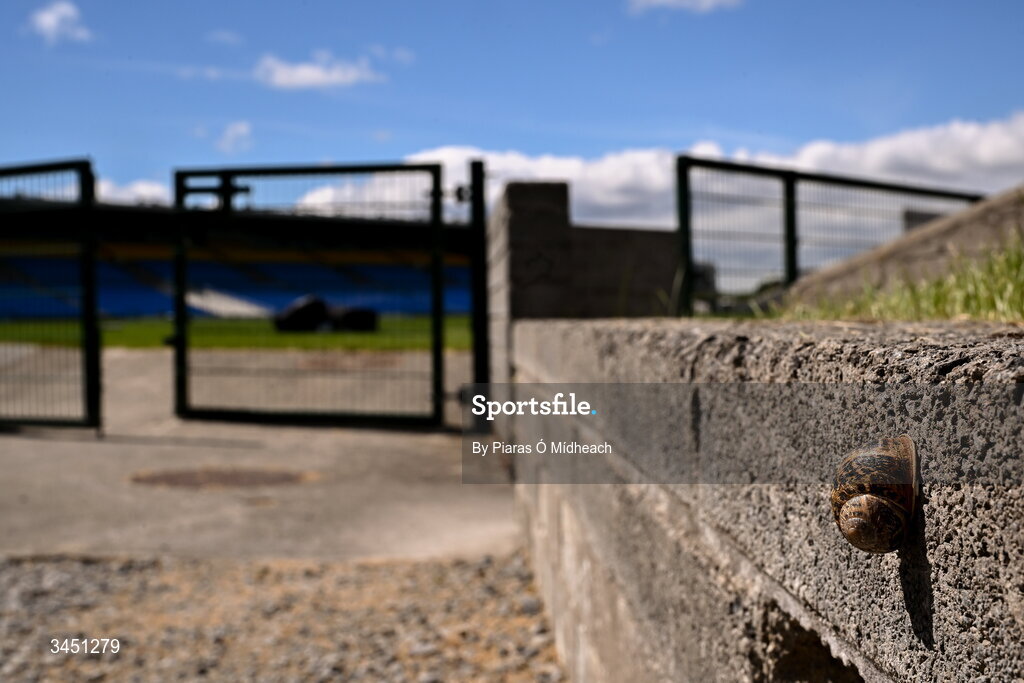 10 May 2026; A snail on the wall of a terrace before the Connacht GAA Football Senior Championship final match between Roscommon and Galway at King & Moffatt Dr Hyde Park in Roscommon. Photo by Piaras Ó Mídheach/Sportsfile