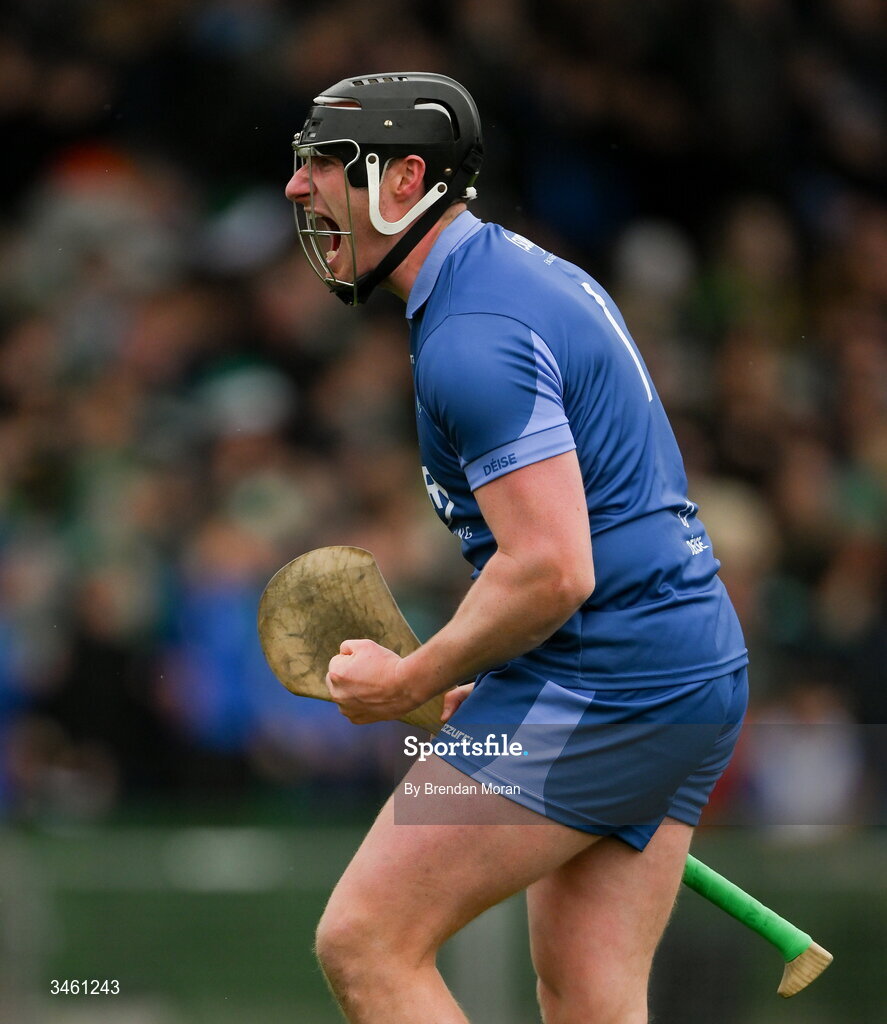 17 May 2026; Waterford goalkeeper Billy Nolan celebrates after his side scored their first goal during the Munster GAA Senior Hurling Championship Round 4 match between Limerick and Waterford at TUS Gaelic Grounds in Limerick. Photo by Brendan Moran/Sportsfile