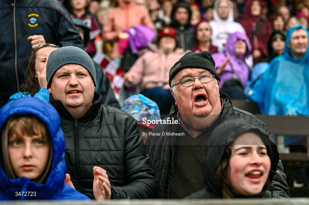 30 May 2026; Supporters during the GAA Football All-Ireland Senior Championship Round 1 match between Westmeath and Cavan at TEG Cusack Park in Mullingar, Westmeath. Photo by Piaras Ó Mídheach/Sportsfile