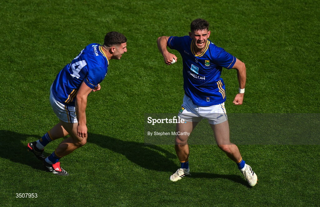 11 July 2026; Darragh Fee, right, and Conor Fee of Wicklow celebrate after the Tailteann Cup final match between Down and Wicklow at Croke Park in Dublin. Photo by Stephen McCarthy/Sportsfile