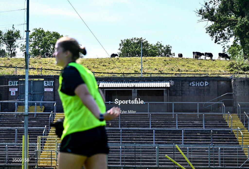12 July 2026; Cows are seen in the distance as the Fermanagh team warm-up before the LGFA TG4 All-Ireland Intermediate Championship semi-final match between Down and Fermanagh at St Tiernach’s Park in Clones, Monaghan. Photo by Tyler Miller/Sportsfile