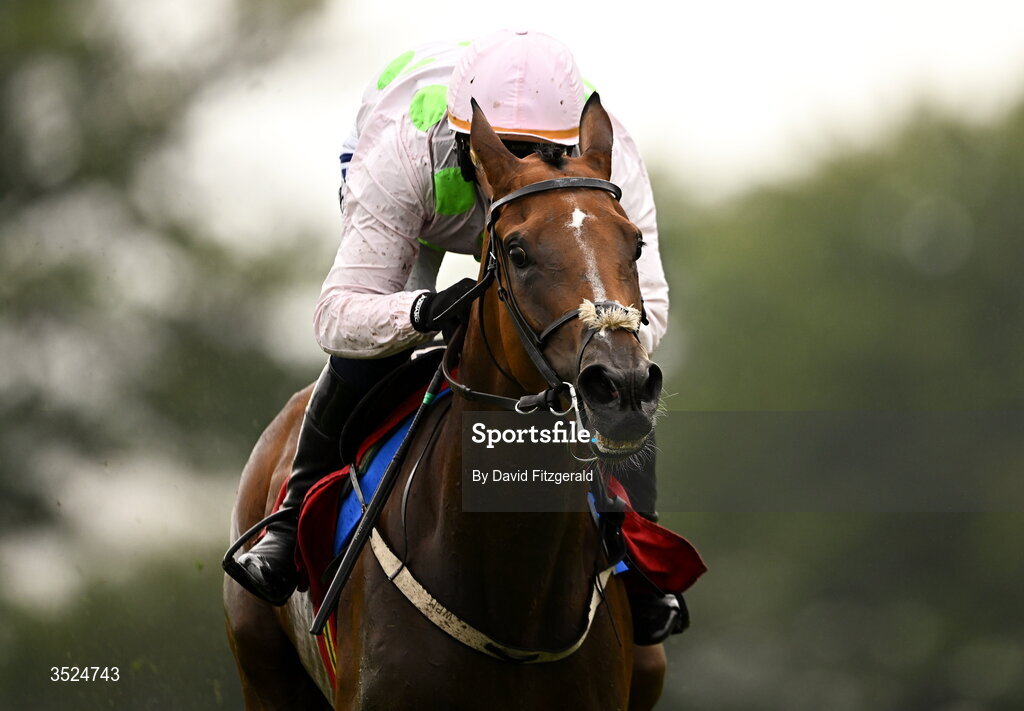 27 July 2026; Witches Familiar, with Paul Townend up, cross the line to win the Galmont Hotel and Galway Bay Hotel Novice Hurdle day one of the Galway Races Summer Festival at Ballybrit Racecourse in Galway. Photo by David Fitzgerald/Sportsfile