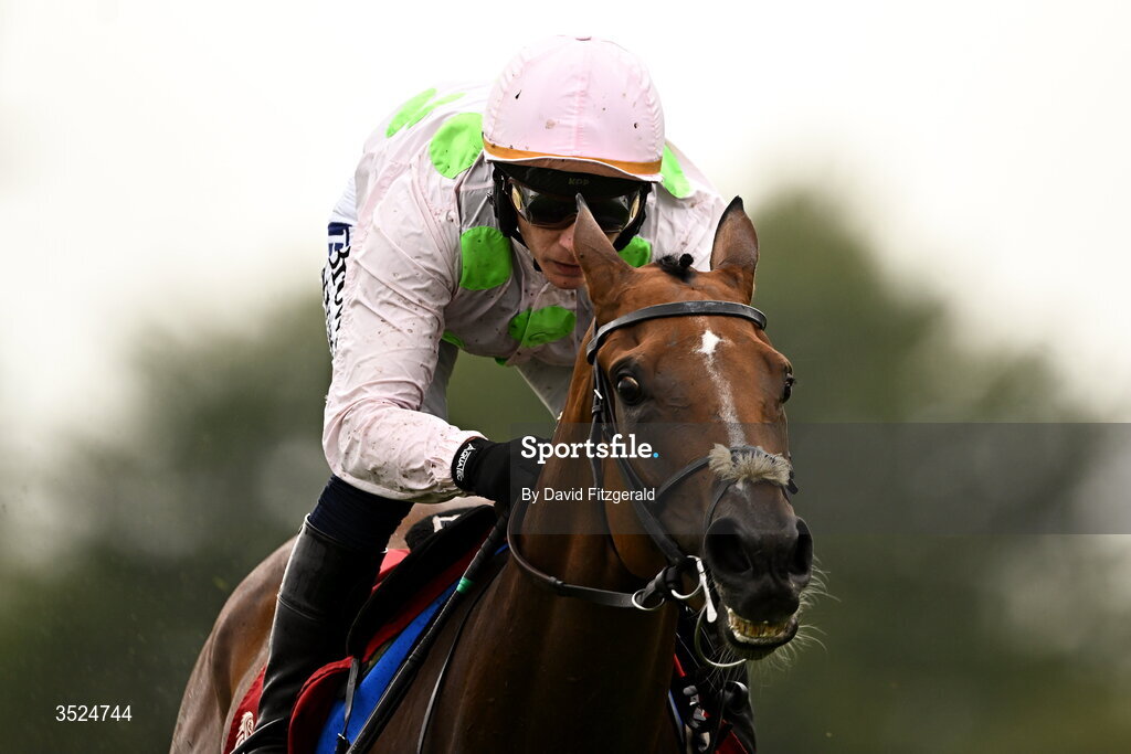 27 July 2026; Witches Familiar, with Paul Townend up, cross the line to win the Galmont Hotel and Galway Bay Hotel Novice Hurdle day one of the Galway Races Summer Festival at Ballybrit Racecourse in Galway. Photo by David Fitzgerald/Sportsfile