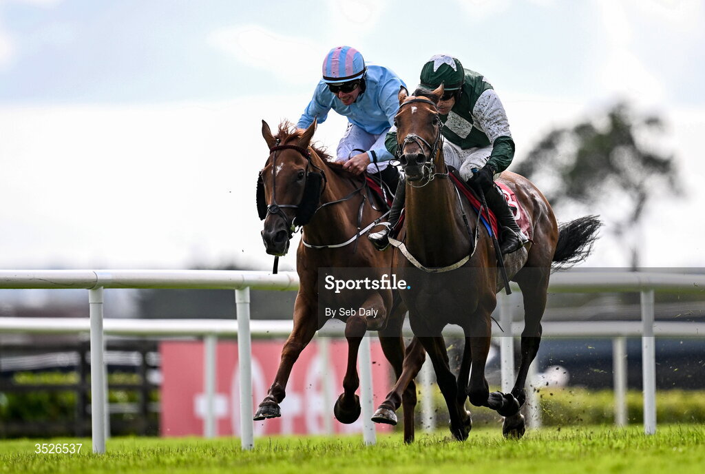 29 July 2026; Mr Hollywood, right, with Brian Hayes up, on their way to winning the Tote Maiden Hurdle, from second place Jeroboam Machin, left, with Donagh Meyler up, during day three of the Galway Races Summer Festival at Ballybrit Racecourse in Galway. Photo by Seb Daly/Sportsfile