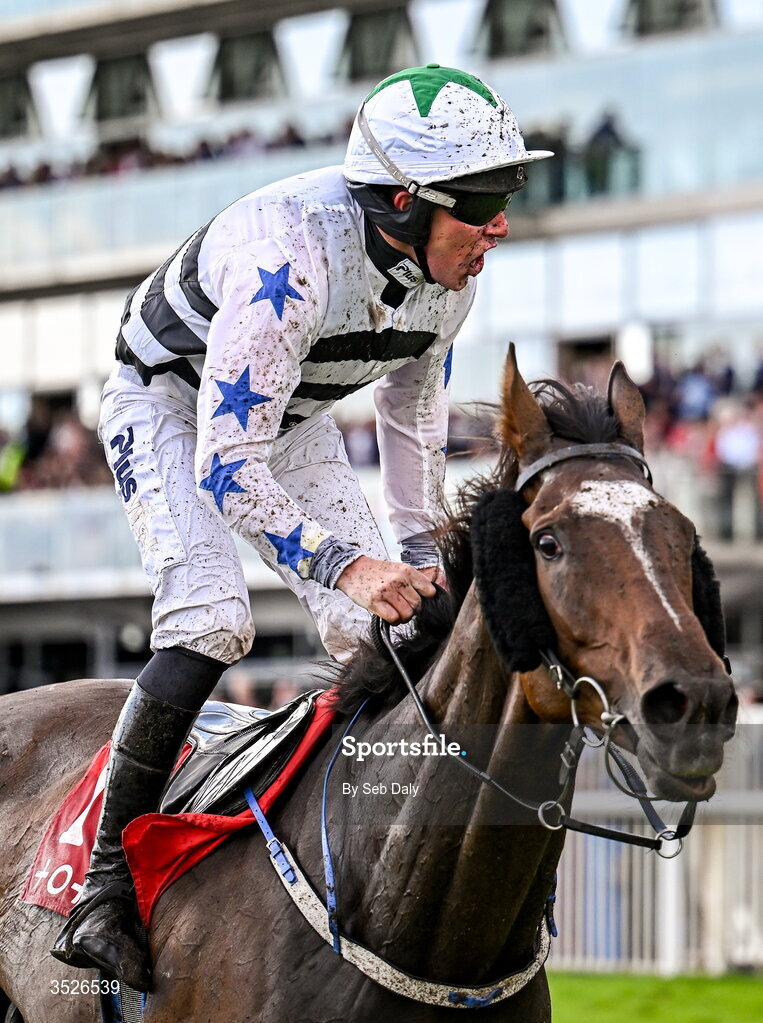 29 July 2026; Jockey Declan Queally celebrates as he crosses the line to win the Tote.ie Handicap Hurdle on Mighty Berkshire during day three of the Galway Races Summer Festival at Ballybrit Racecourse in Galway. Photo by Seb Daly/Sportsfile