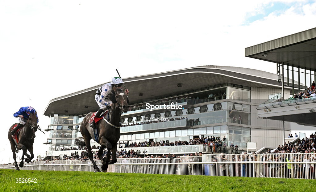 29 July 2026; Jockey Declan Queally celebrates as he crosses the line to win the Tote.ie Handicap Hurdle on Mighty Berkshire during day three of the Galway Races Summer Festival at Ballybrit Racecourse in Galway. Photo by Seb Daly/Sportsfile